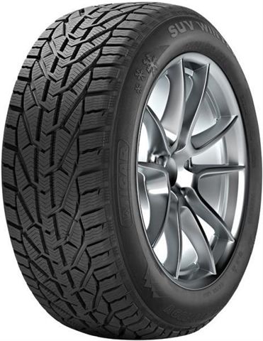 205/55 R16 91T TL WINTER IARNA EE:E FR:C U:2 72DB