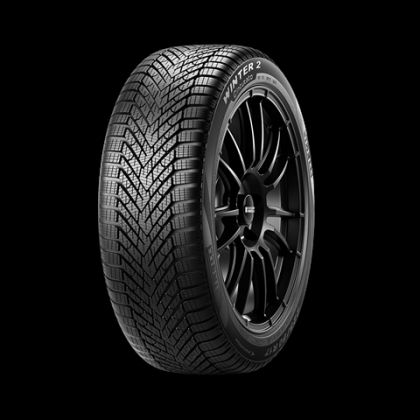 215/45R20 95T XL SI WTCNT2 ELT IARNA
