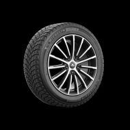 255/45 R18 103H XL TL XICE SNOW IARNA M+S 3PMSF EE:C FR:E U/NL:B 71DB